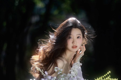 离婚12年再看独居大别墅的车晓娱乐圈的残酷应验了！